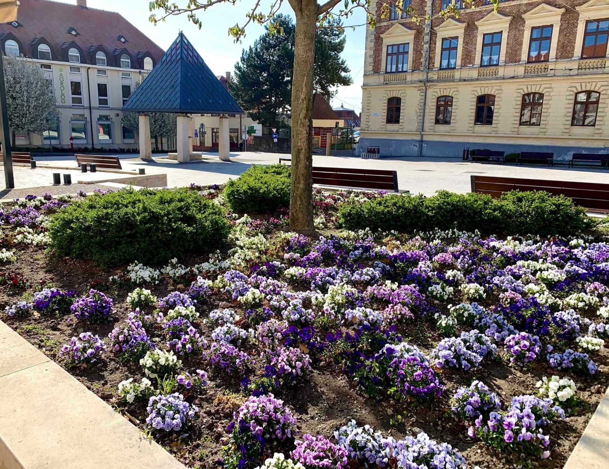 Ciao Lilla Apartman Keszthely Exterior photo